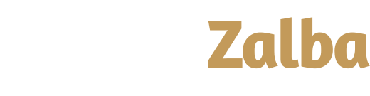 logo de website